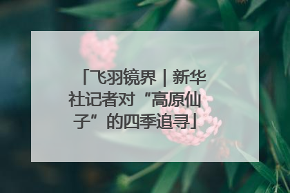 飞羽镜界｜新华社记者对“高原仙子”的四季追寻
